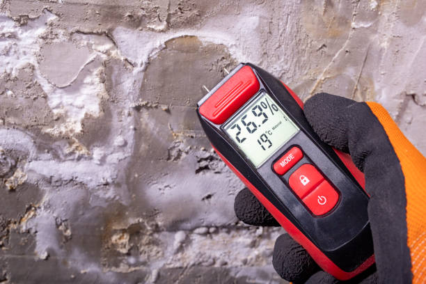 Best Emergency Mold Removal  in Orrville, OH