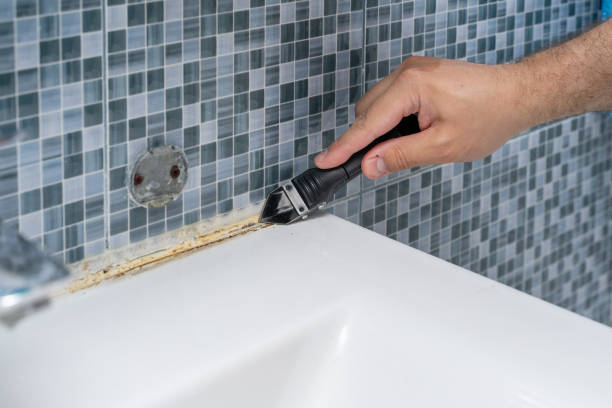 Best Best Mold Removal Companies  in Orrville, OH