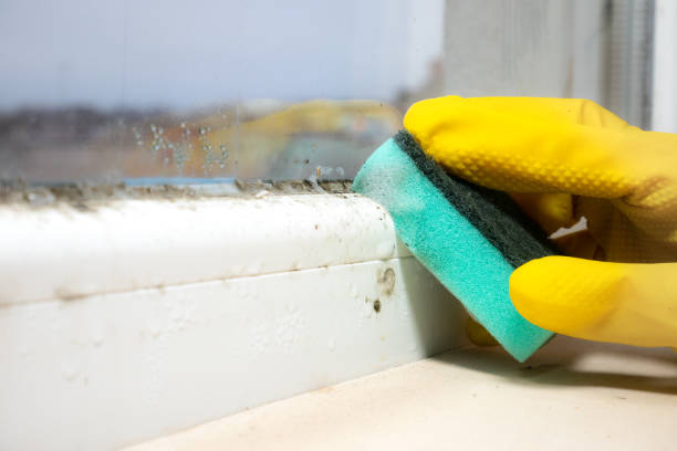 Orrville, OH Mold Removal Company