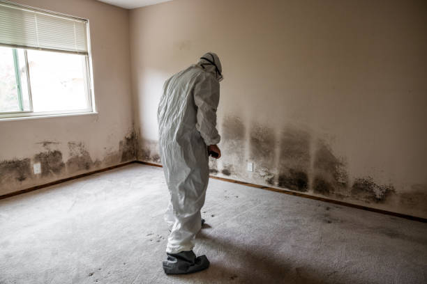 Water Damage Restoration in Orrville, OH